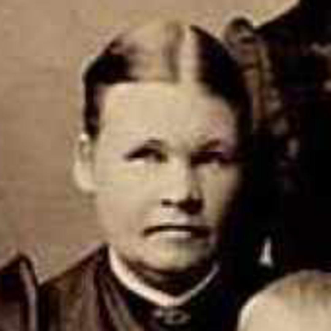 Anna Larsson (1854 - 1937) Profile